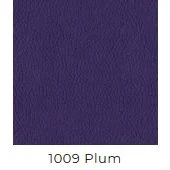 Plum Vinyl