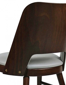 Bentwood Backrest Restaurant Chair With Upholstered Inside Backrest Rear View