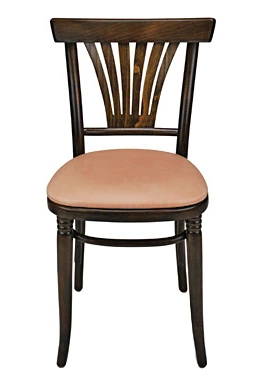Upholstered Bentwood Fan Back Cafe Side Chair Front View