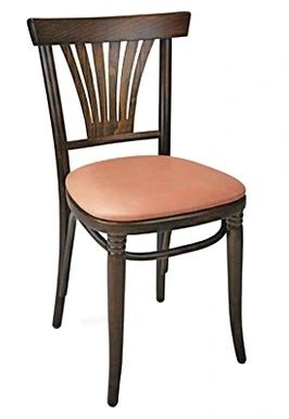 Upholstered Bentwood Fan Back Cafe Side Chair Side View